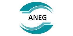 Компания Aneg